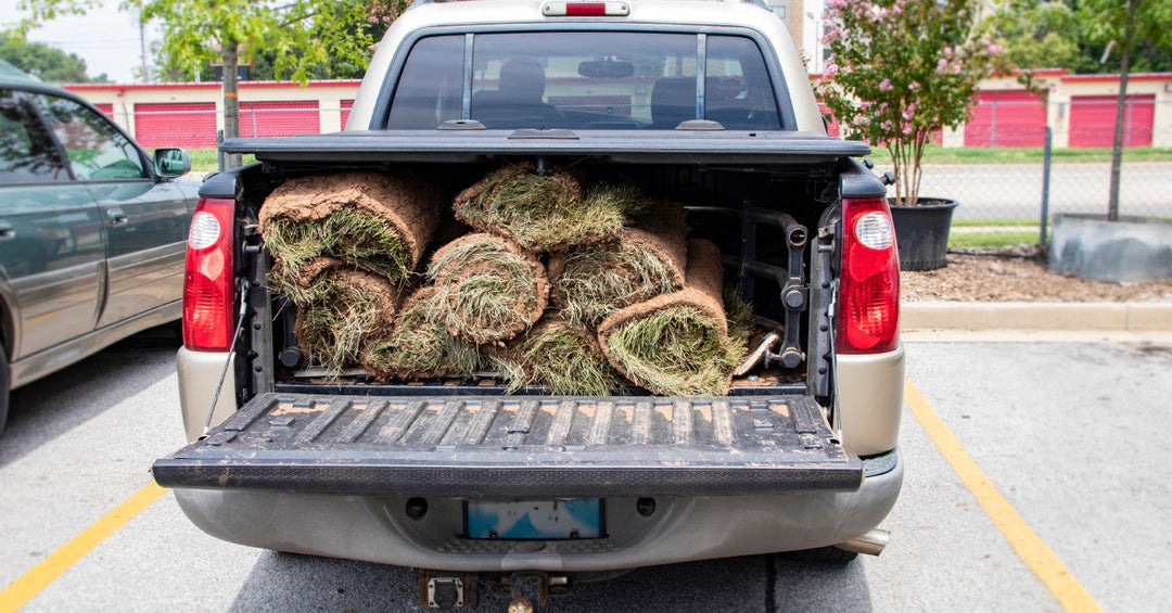 Parked truck with a bed full of large grass rolls piled on top of each other with a truck cover lying on top.